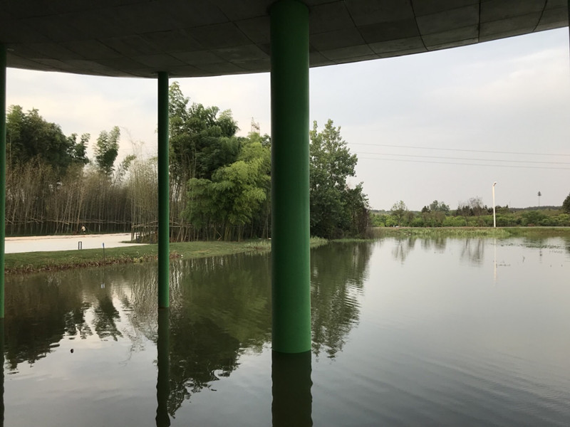 咸宁仙鹤湖湿地公园项目(图5)